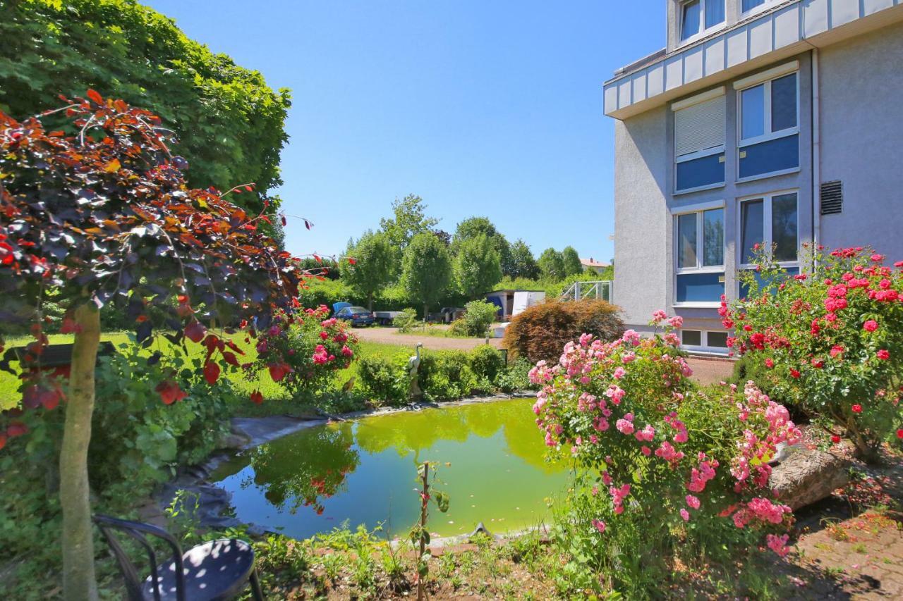 Kraichgau-Perle Hotel Rauenberg  ภายนอก รูปภาพ